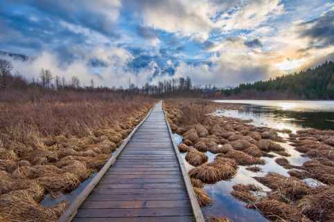brown wooden dock in middle of hay
