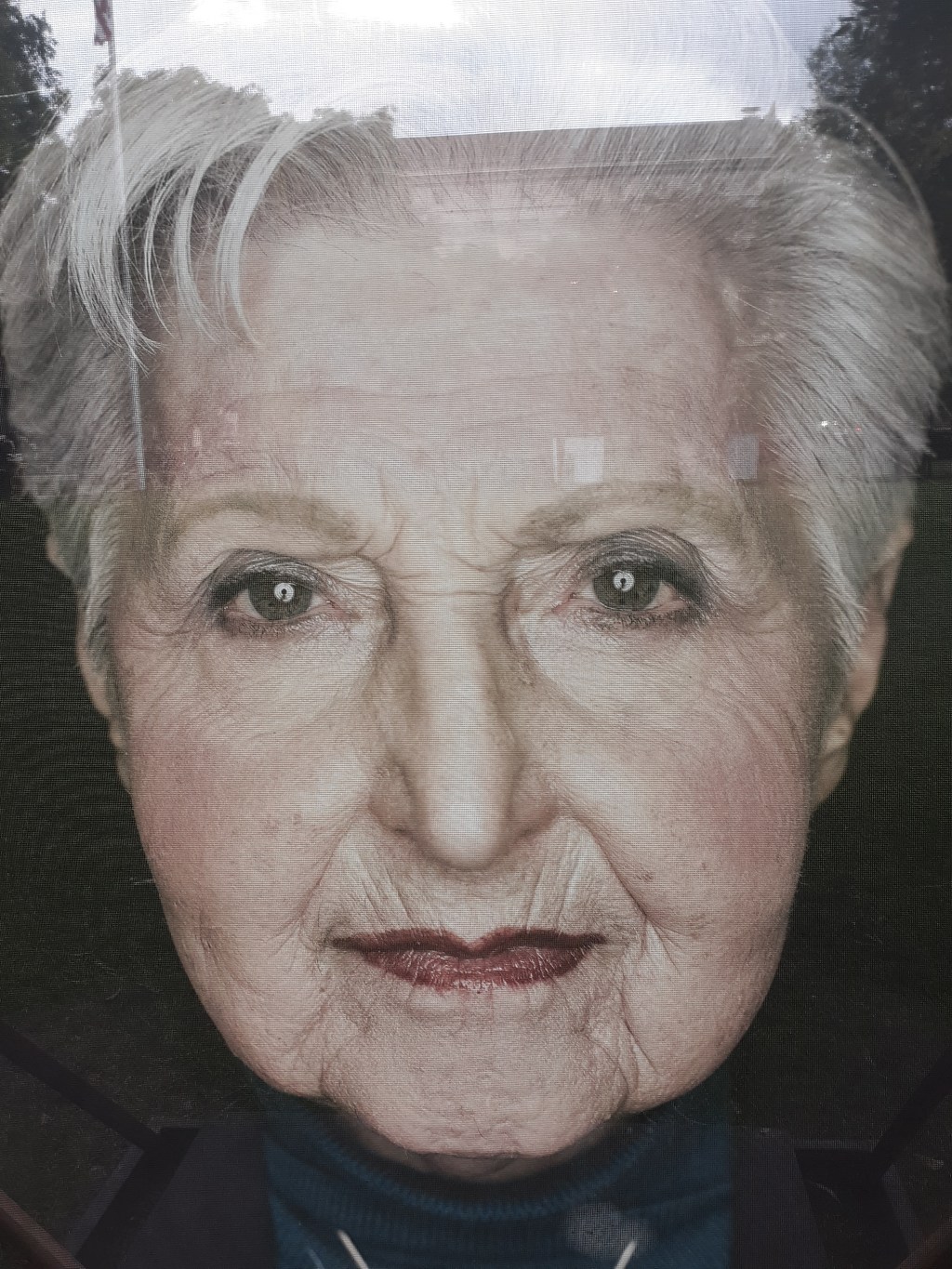 Faces That Persevered